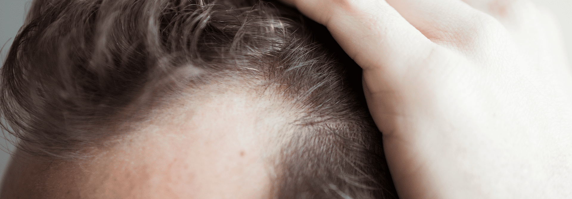 Haarsprechstunde - Übersicht 1 02 haarsprechstunde uebersicht header